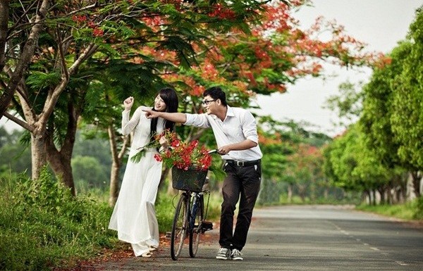 ดอกหางนกยูงกับความรักในวัยใส