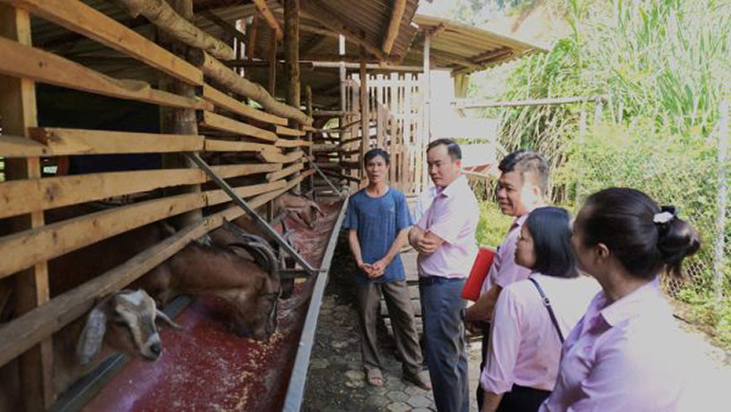 เงินกู้ดอกเบี้ยพิเศษ กุญแจให้แก่การแก้ปัญหาความยากจนในจังหวัดท้ายเงวียน