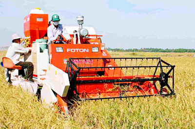 Foro multidimensional para desarrollo sostenible de Vietnam