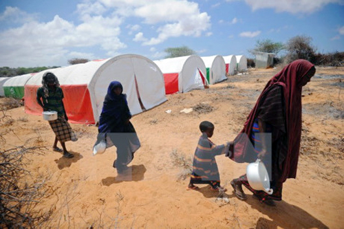 El Día Internacional para la Erradicación de la Pobreza 2017 llama a la dignidad y solidaridad