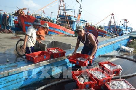 Vietnam refuerza el control de producción acuática de conformidad con las propuestas internacionales