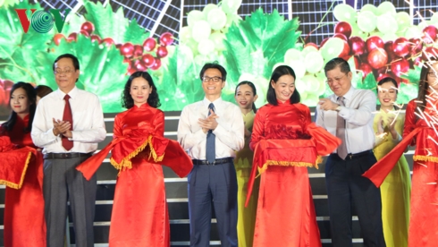 Inauguran Festival de Uva y Vino de Ninh Thuan 2019