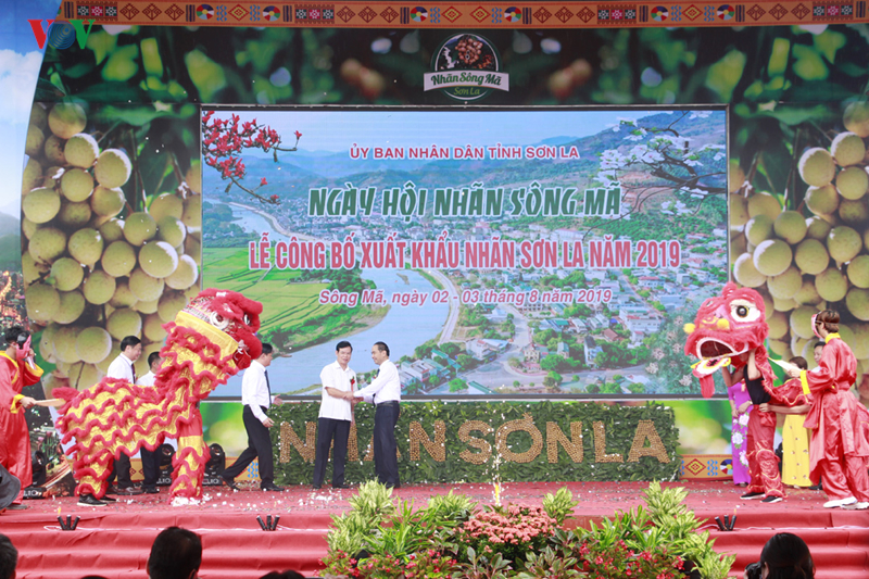 Longan de Son La llegan a consumidores de Estados Unidos y China