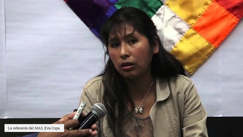 Asamblea Nacional de Bolivia aprueba ley para convocar nuevas elecciones generales