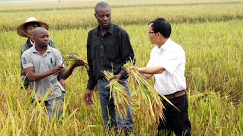 Por fortalecer cooperación económica entre Vietnam y África