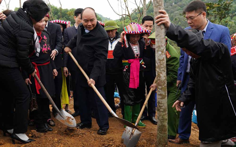 Localidades vietnamitas promueven Festival de Siembra de Árboles 2020
