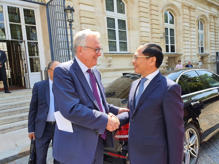 El ministro de Relaciones Exteriores Bui Thanh Son se reúne con el presidente del Senado francés