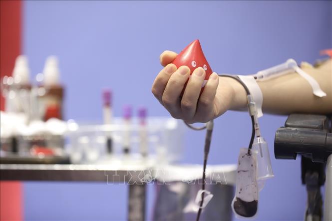 Día Internacional del Donante de Sangre: Garantizar el apoyo a los donantes voluntarios