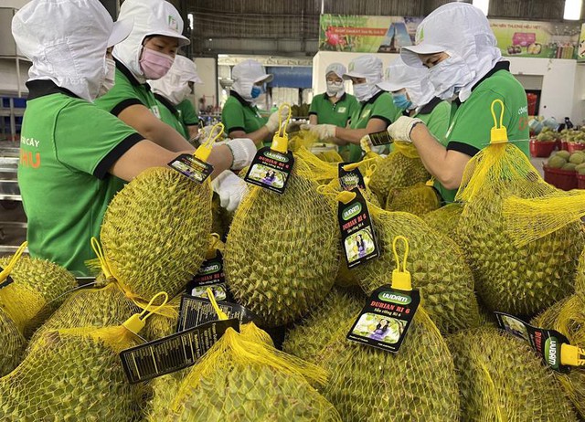 Exportación de Vietnam supera los 316 mil millones de dólares en los primeros seis meses del año