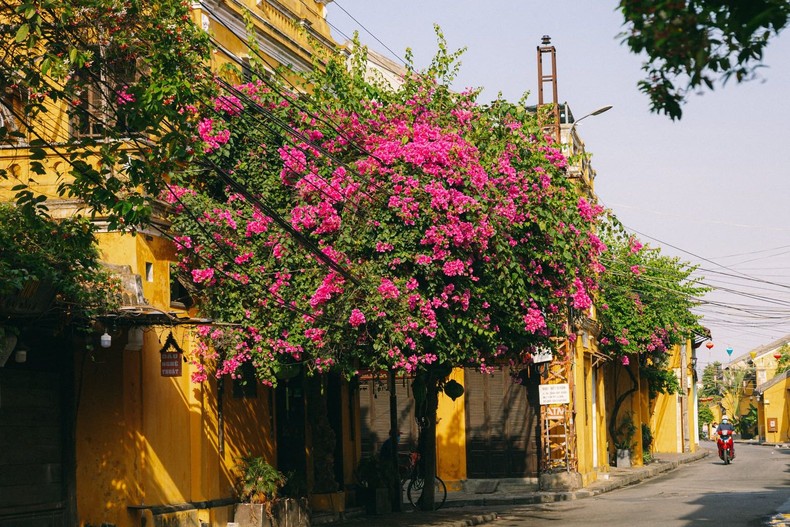 Ciudad Ho Chi Minh y Casco Antiguo de Hoi An en la lista de destinos favoritos en Asia