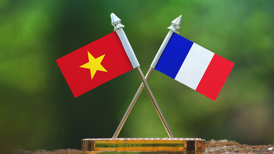Buenas perspectivas para asociación estratégica Vietnam-Francia, evalúa funcionario francés