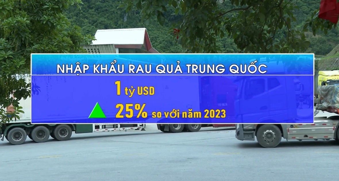 Vietnam destinó más de 1,5 mil millones de dólares a importar frutas y hortalizas
