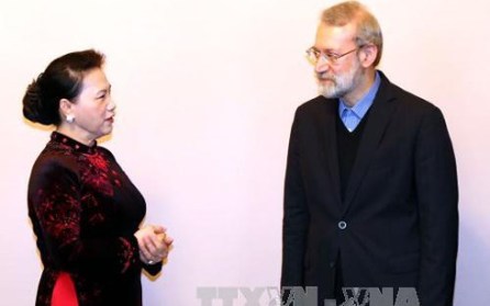 Líder parlamentario iraní visita Vietnam