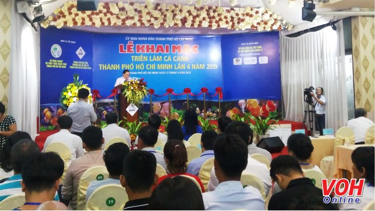 Inauguran exhibición de peces ornamentales de Ciudad Ho Chi Minh