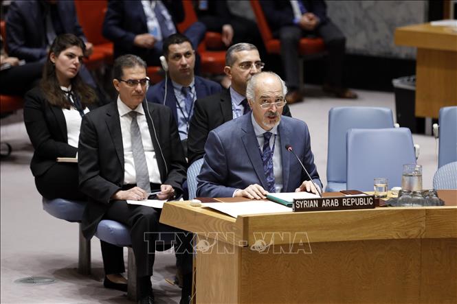 Sin respaldo en Consejo de Seguridad propuestas de resoluciones sobre Siria