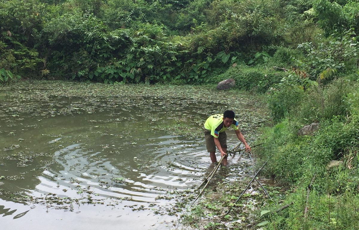 Llaman a la explotación sostenible y el uso eficiente de los recursos hídricos en Vietnam