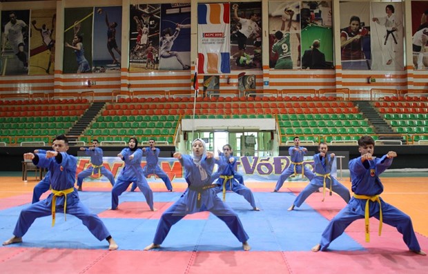 Celebran Festival Internacional del arte marcial vietnamita en Egipto