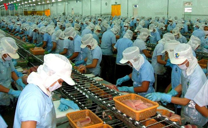 Excelente rendimiento económico de Vietnam en 11 meses de 2019
