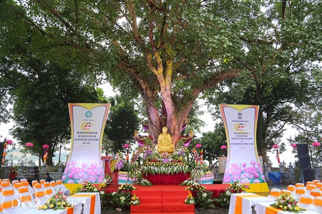 Conmemoran 60 aniversario de la entrega del árbol indio Bodhi a Vietnam