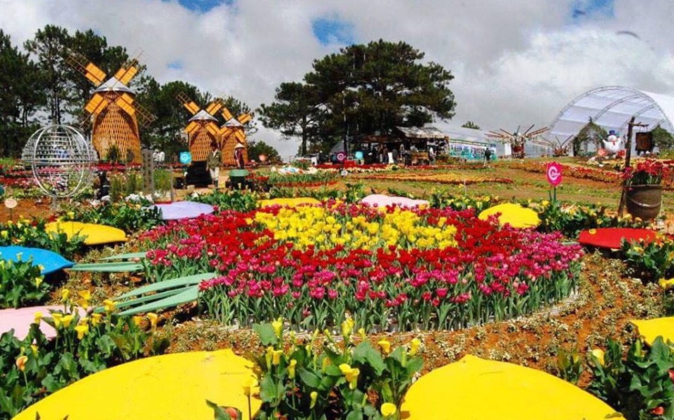 Festival de Flores Da Lat 2019 atrae turistas a Lam Dong