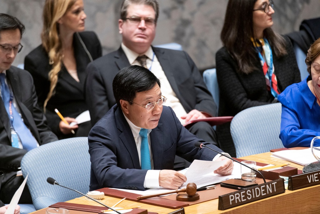 Vietnam consolida vínculos con miembros del Consejo de Seguridad de la ONU