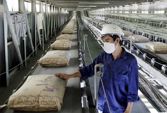 Industria de cemento vietnamita registra valor récord de exportaciones en 2019