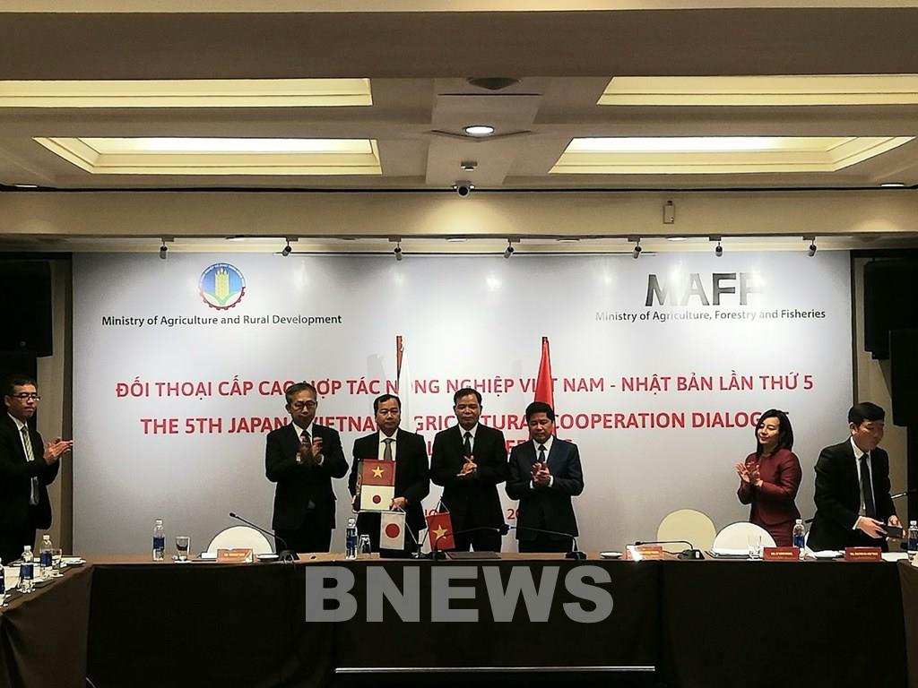 Vietnam y Japón fortalecen cooperación agrícola