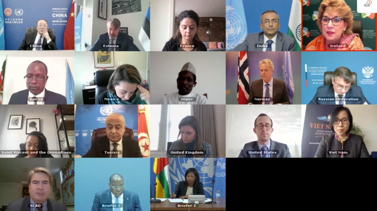 Vietnam expresa preocupación sobre la situación de seguridad en la República Centroafricana