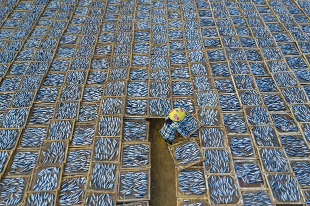 Fotógrafa vietnamita honrada en el concurso TIFA 2020