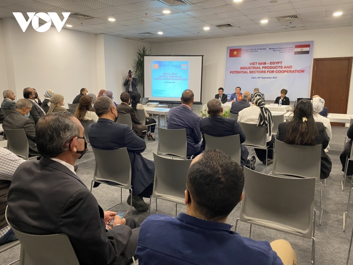 Vietnam y Egipto fortalecen el intercambio comercial en tiempo post pandémico