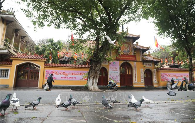 La Sangha Budista de Vietnam rezará por los fallecidos a causa del covid-19