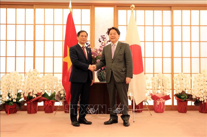 Canciller vietnamita dialoga con su par japonés