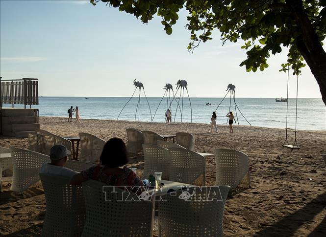 Aumenta la afluencia de turistas extranjeros a Vietnam en noviembre