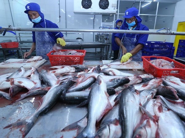 Producción acuícola de Vietnam creció 4,12 % en 2021