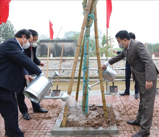 Ninh Binh plantará 1,2 millones de árboles y 140 hectáreas de bosque en 2022