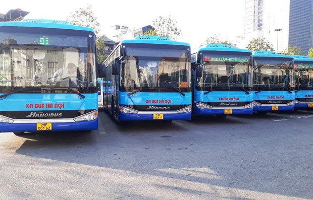 Mayoría de rutas subsidiarias de autobús de Hanói opera en su máxima capacidad desde este martes