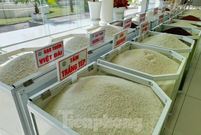 Siguen en aumento las exportaciones de arroz vietnamita