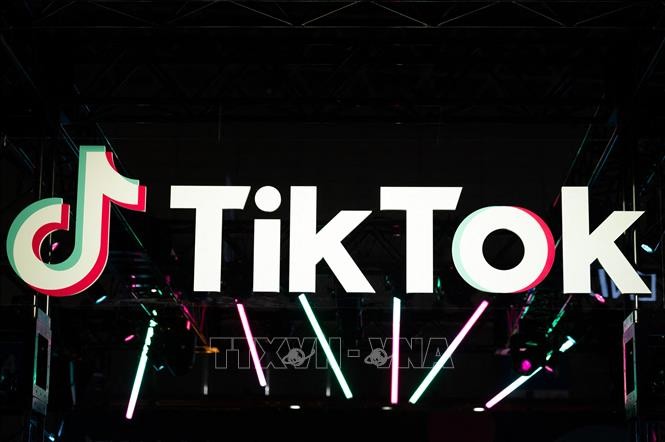 Senadores franceses piden prohibición de Tiktok