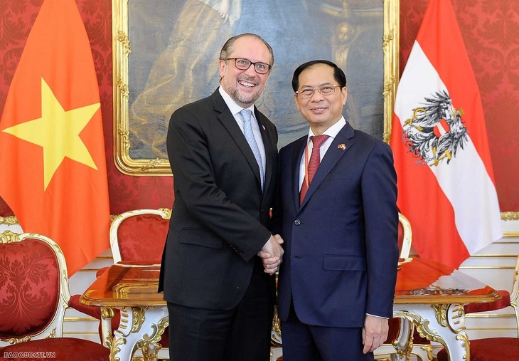 Canciller vietnamita se reúne con su homólogo austriaco