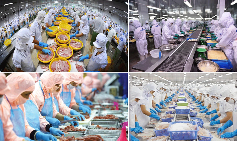Impresionante crecimiento de exportaciones de productos agropecuarios de Vietnam en primeros 3 meses de 2025