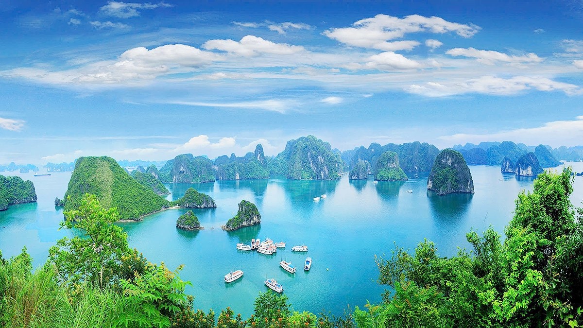 Vietnam se promociona como destino para cineastas en el Festival Cannes 2025