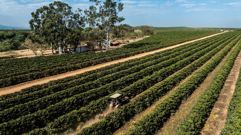 Estados Unidos elimina impuesto adicional de 40% sobre varios productos agrícolas brasileños
