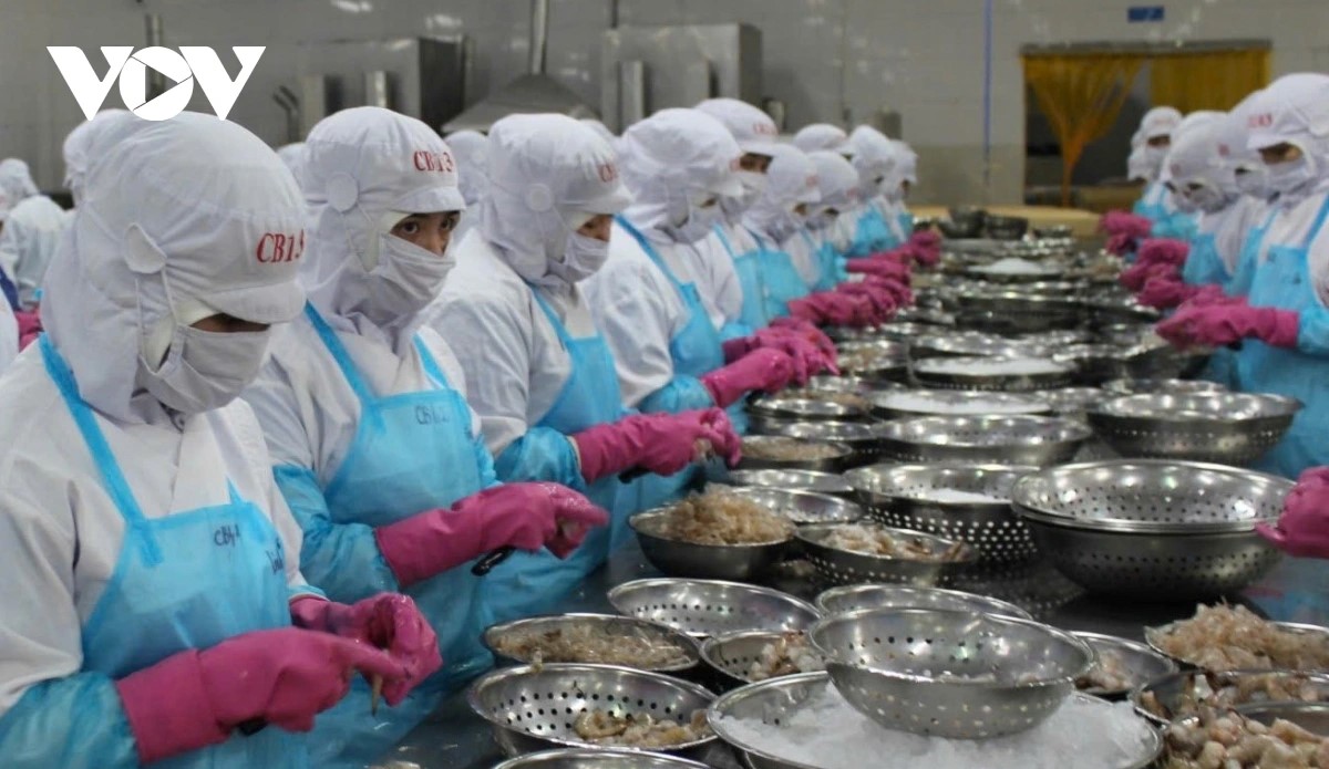 Exportaciones de productos acuáticos de Vietnam podrían alcanzar nuevo récord en 2025