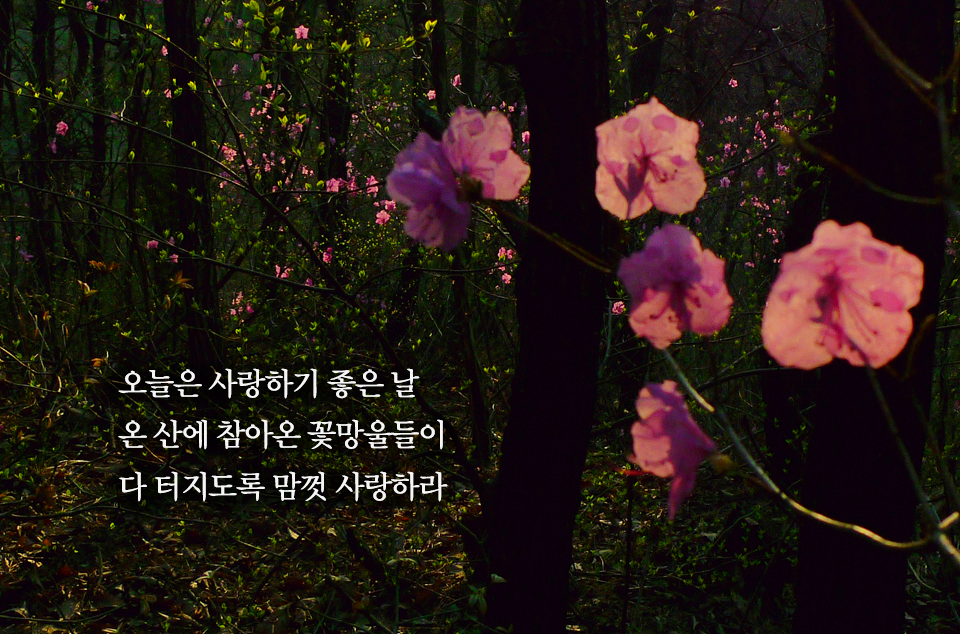 소프라노 김윤지와 함께하는 음악여행 제195회