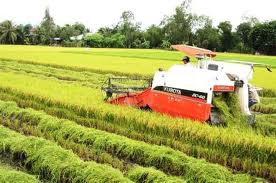 ການສົ່ງອອກເຂົ້າສານຫວຽດນາມ ປີ 2011