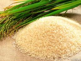 ກາລະໂອກາດສົ່ງອອກເຂົ້າສານໄປ ໂຮງກົງ, ຈີນ