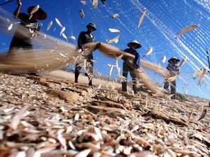 ເສດຖະກິດຫວຽດນາມໃນໄຕມາດທີ 1 ມີທ່າອ່ຽງດີຂຶ້ນ