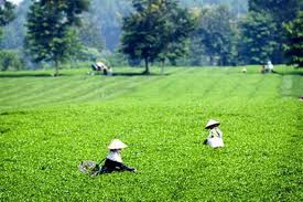 ກອງ​ປະຊຸມ​ສຳ​ມະ​ນາ​ ຕີ​ລາຄາ​ໂຄງການ​ໜູນ​ຊ່ວຍ​ ການ​ຫລຸດຜ່ອນ​ຄວາມທຸກ​ຍາກ​