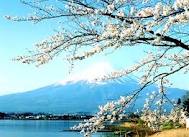 ປະຊາຄົມຊາວຫວຽດນາມພົບປະ, ແລກປ່ຽນ ດ້ານວັນນະຄະດີ ຍີ່ປຸ່ນ