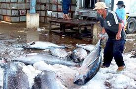 ວົງເງິນສົ່ງອອກຜະລິດຕະພັນກະເສດ, ເຄື່ອງປ່າຂອງດົງ ແລະ ສິນໃນນ້ຳເພີ່ມຂຶ້ນ